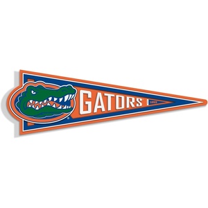 image:imageYouTheFan NCAA 3D Wall Pennant precisioncrafted unique shape made of multiple layers readytohang officially licensed and stylish addition for ultimate team fanFlorida Gators