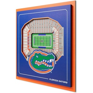 image:imageYouTheFan Officiallylicensed NCAA Stadium Series 3D Wall Art  multilayer team stadium replica detailed sports fan gift indoor decorFlorida Gators