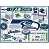 image:imageYouTheFan NFL Carolina Panthers Scrapbook Puzzle  500 Pieces 18 X 24 Size Original Artwork Humorous Illustrations Fun Design Officially LicensedSeattle Seahawks