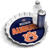 Auburn Tigers