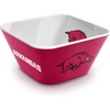 Arkansas Razorbacks