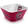 South Carolina Gamecocks